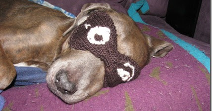 一只大棕色狗睡在粉红色的床上。它的眼睛被编织的眼罩遮住。