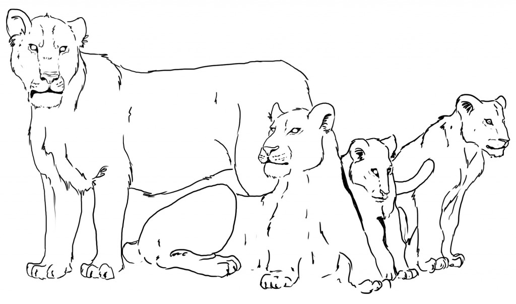 一群洞穴狮的素描。请注意这头站立着的雄狮身上没有鬃毛。塔比瑟·帕特森(@TabithaPaterson)