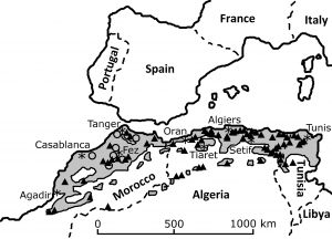 自中世纪以来，在北非撒哈拉沙漠以北的地中海南部(浅灰色阴影)的马格里布生物群落中(公元1500 - 1960年)就有狮子目击记录。开圈描述1800年以前记录的一般历史观察的位置，改编自[2]。详情可参阅[2,8,15]。星号表示各已命名的主要人口中心的位置。