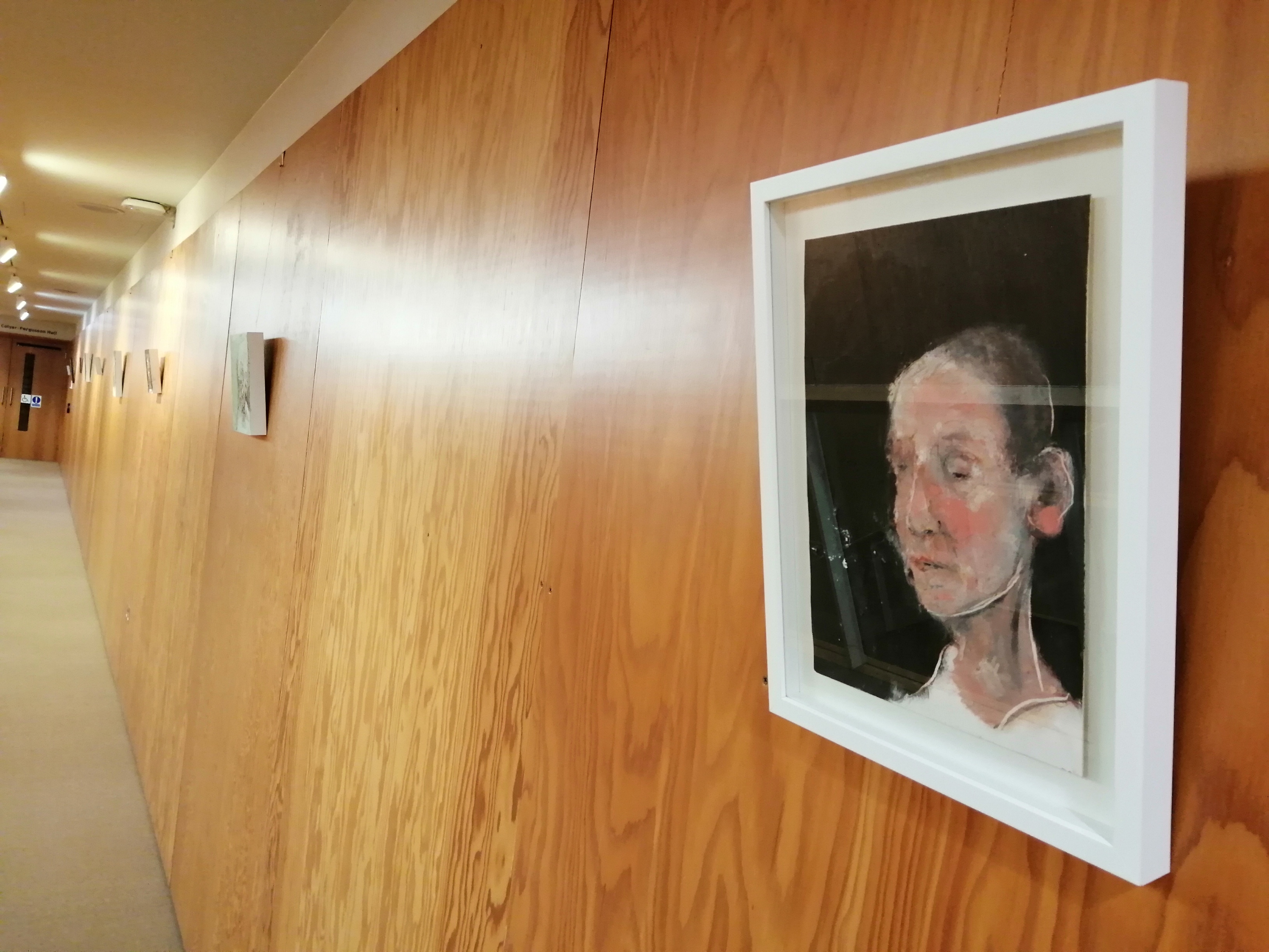 从表面上看:科尔-弗格森画廊的新肖像展览