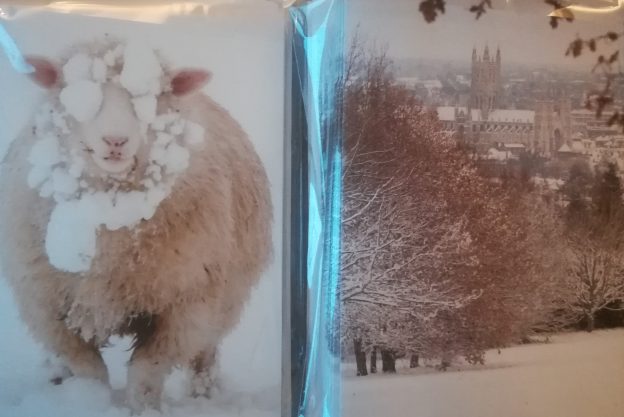 这张卡片的特色是从校园看教堂的雪景，还有一只雪羊