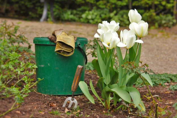 绿色的水桶上戴着园艺手套，旁边有一把小铲子和白色的花，放在一层土壤上