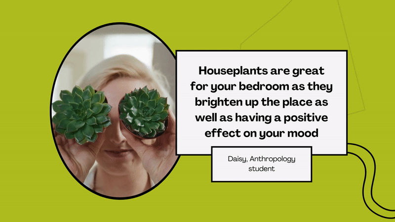 学生语录:“室内植物对你的卧室很有好处，因为它们照亮了这个地方，也对你的情绪有积极的影响。