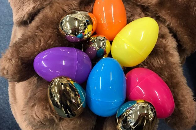 寻找兔子复活节彩蛋