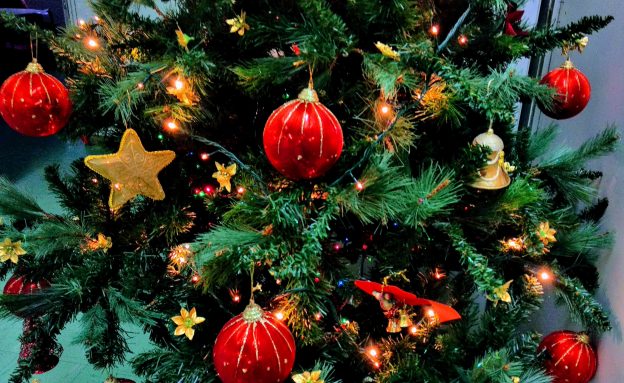 圣诞树上有红色装饰物和金色星星