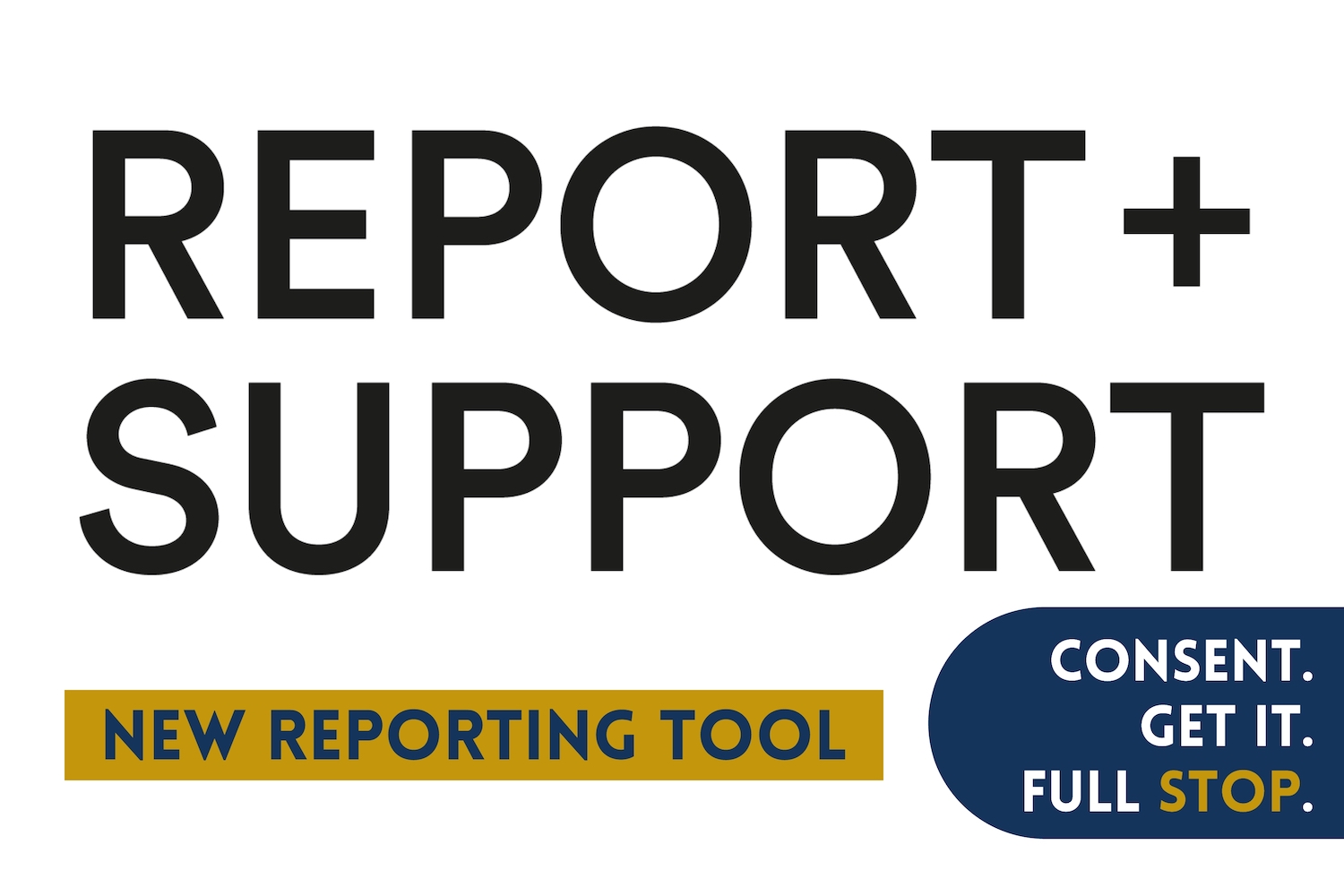 报告和支持。新的报告工具