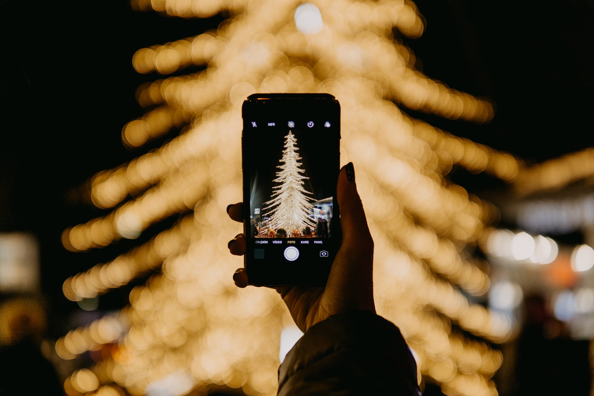 用手机拍下圣诞树